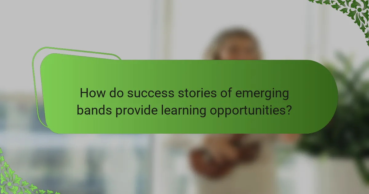 How do success stories of emerging bands provide learning opportunities?