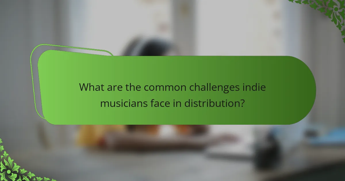 What are the common challenges indie musicians face in distribution?