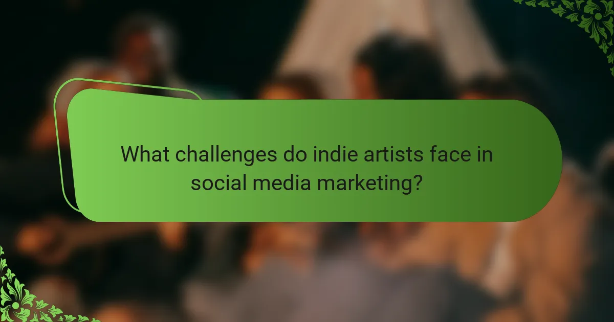 What challenges do indie artists face in social media marketing?