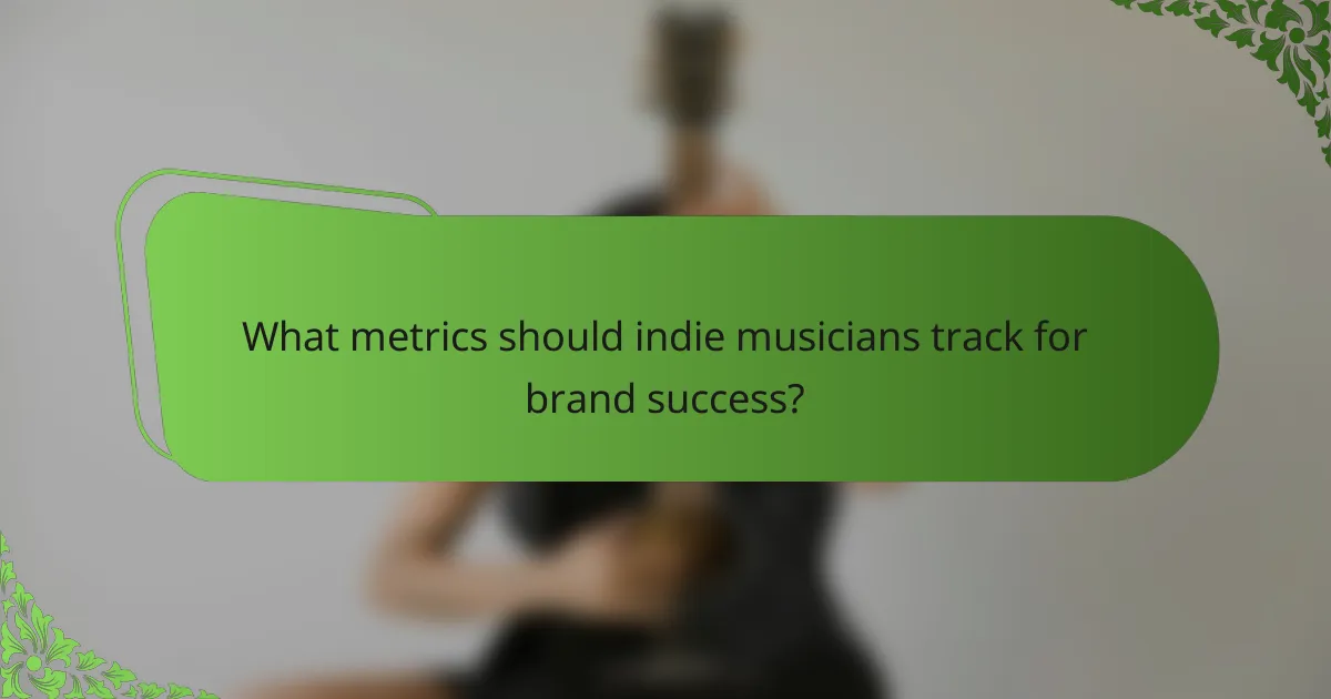 What metrics should indie musicians track for brand success?
