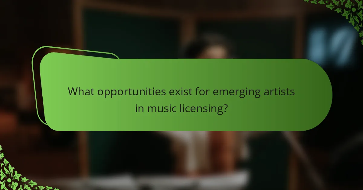 What opportunities exist for emerging artists in music licensing?