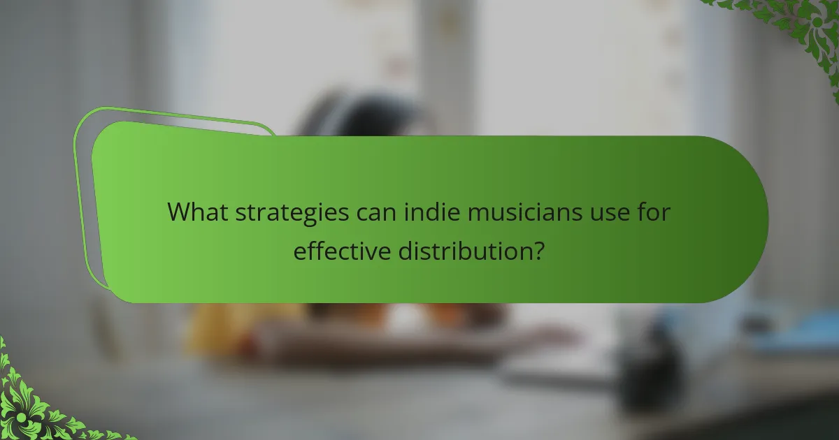 What strategies can indie musicians use for effective distribution?