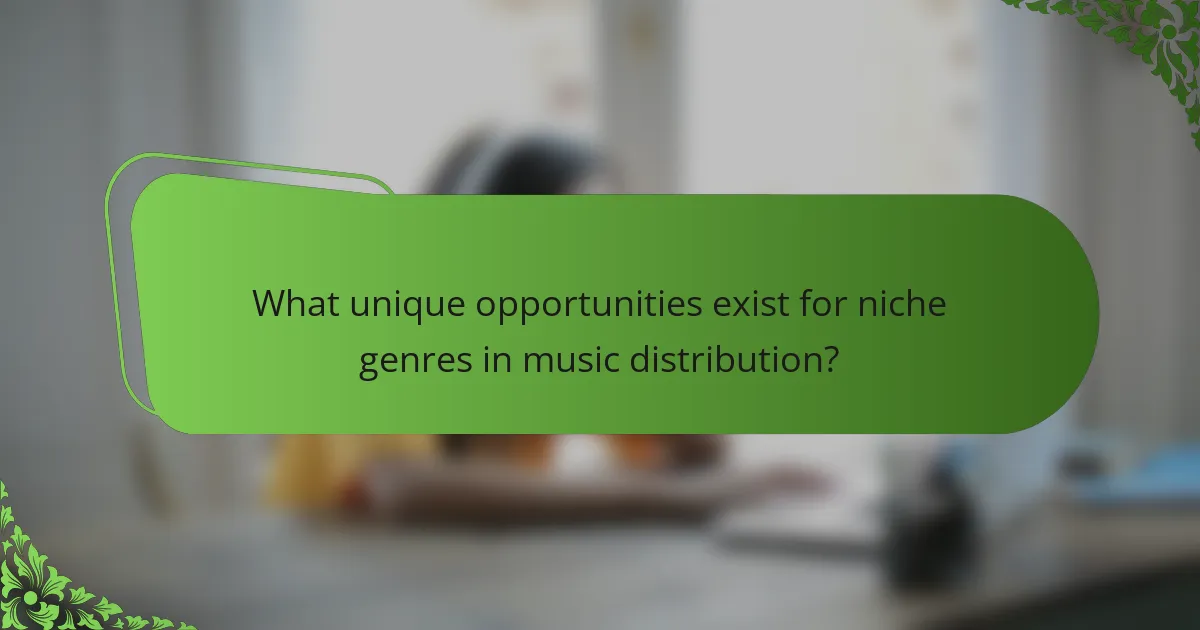 What unique opportunities exist for niche genres in music distribution?