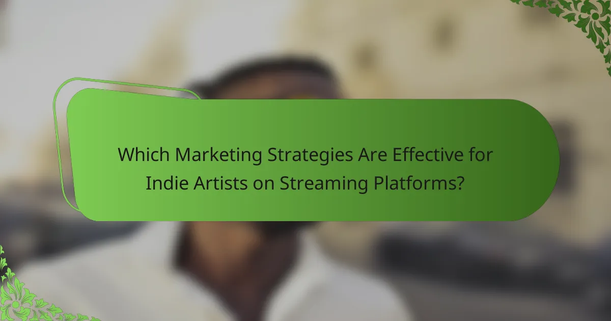 Which Marketing Strategies Are Effective for Indie Artists on Streaming Platforms?