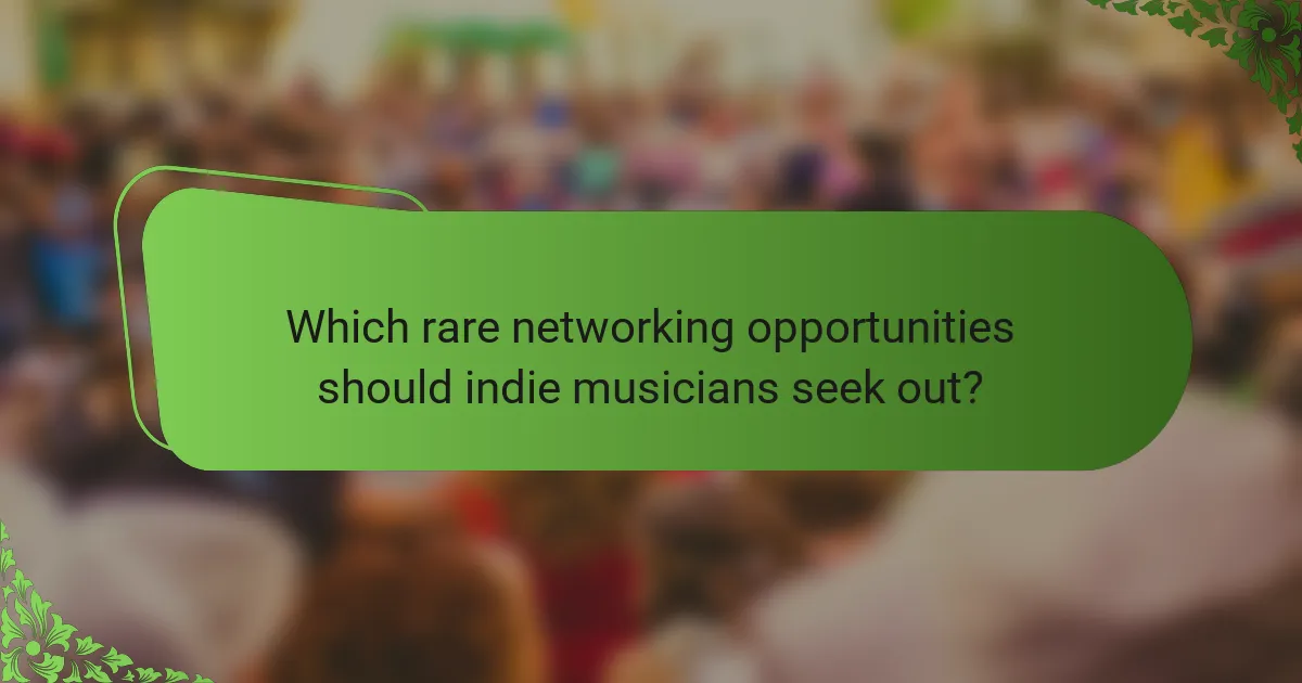 Which rare networking opportunities should indie musicians seek out?